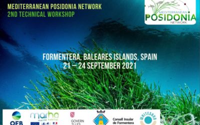 Mediterranean Posidonia Network Formentera