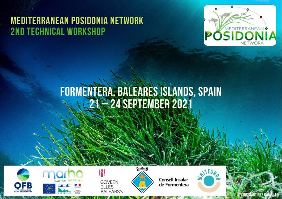Mediterranean Posidonia Network Formentera